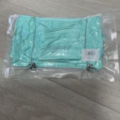 leegoo ミントグリーン 収納ポーチのサムネイル