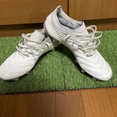 コパ19.1のサムネイル