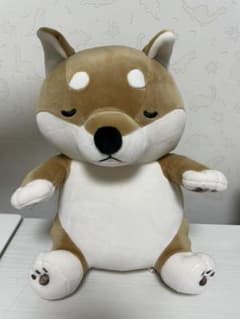 湯たんぽ 柴犬 ぬいぐるみのサムネイル