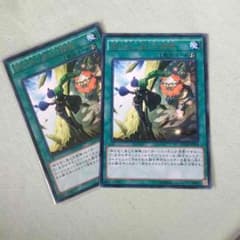 エルシャドールフュージョンのサムネイル