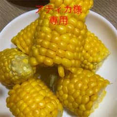 アティカ様専用のサムネイル