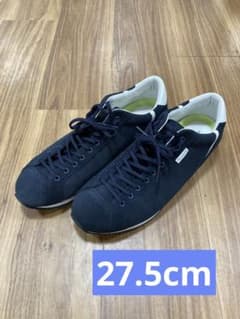 アポミキシス　アシックス　オニツカタイガー　asicsのサムネイル
