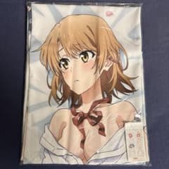やはり俺の青春ラブコメはまちがっている。 一色いろは プレミアム抱き