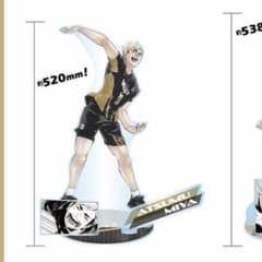 ハイキュー 宮侑 アクリルキガ アクリルGIGAフィギュア - メルカリ