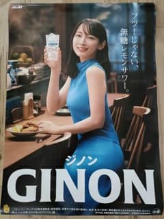 吉岡里帆 GINON ジノン ポスター 特大 B2 限定品 - メルカリ