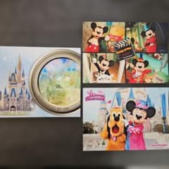 ディズニー　ミニー　パルパルーザ　ミートミッキー　スペシャルフォト　写真　台紙のサムネイル