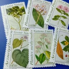外国切手 国連切手 1990年 薬用植物シリーズ 6種セット - メルカリ