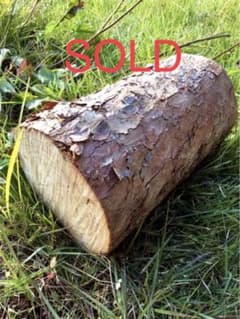 m76306749883_1.jpg?1673488438