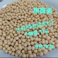 専用品 大豆(ゆきほまれ) 十勝産 10kg + 1割増量 大豆(ゆきほまれ) 十勝産 1kg+1割増量 - メルカリ