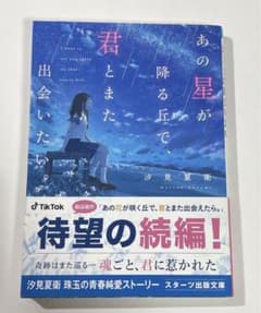 あの星が降る丘で、君とまた出会いたい。のサムネイル