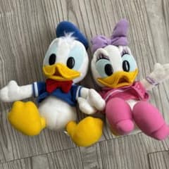 m76322508057_1.jpg?1715127642