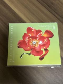 愛の花のサムネイル