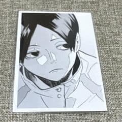 ハイキュー 10th クロニクル 思い出スナップ フォトカード 青城 国見