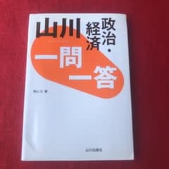 山川一問一答政治・経済のサムネイル