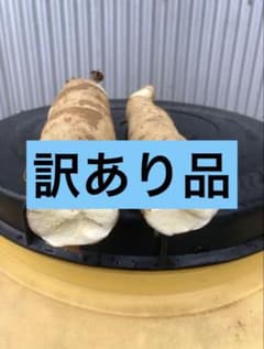 徳之島産キャッサバ生芋訳あり品3キロ - メルカリ