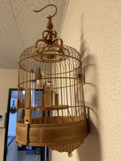 鳥籠のサムネイル