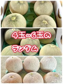 北海道産 赤肉メロン4〜6玉 訳あり品 - メルカリ