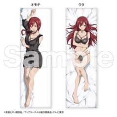 フェアリーテイル  FAIRY TAIL タイトー　くじ　ラスト　抱き枕　エルザ FAIRY TAIL 抱き枕カバー エルザ・スカーレット - メルカリ