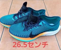 NIKE 　ペガサスターボ２のサムネイル