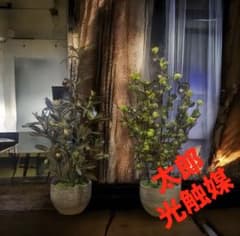 光触媒 人工観葉植物 ウォールグリーン フェイクグリーン オリーブと 