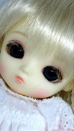LEEKE WORLD リケワールド　球体関節人形　SD BJD ドール　人形 球体関節 LEEKE WORLD【Honey Head】 - メルカリ