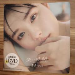 豊島心桜 淡い時間 DVD 週刊プレイボーイ付録 未開封のサムネイル
