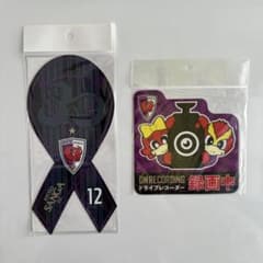 京都サンガF.C. マグネット2種類