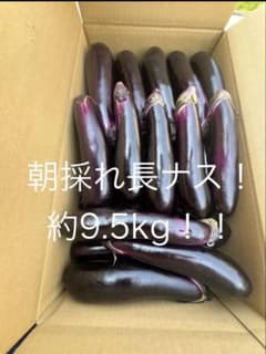 長茄子9.5kg！朝採れ！！農家直送！！！ - メルカリ