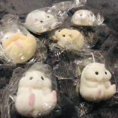 新品　ケーブル　かじかじ　ハムスターのサムネイル