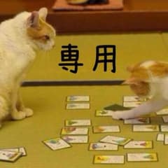 ころりんさん専用 150子どもセットのサムネイル