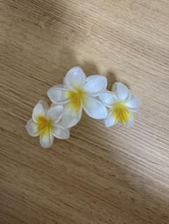 ヘアクリップのサムネイル