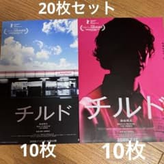 チルド フライヤー2種×10（20枚）映画チラシ 染谷将太 ベルリン国際