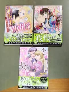 征服王の略奪花嫁～溺愛は蜜夜に濡れる～のサムネイル