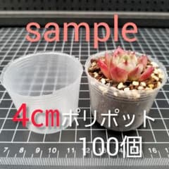 ⚪半透明 4㎝ポリポット×100個のサムネイル