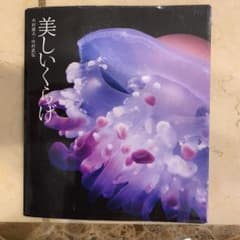 美しいくらげのサムネイル