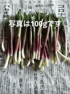 行者にんにく（アイヌネギ）300gのサムネイル
