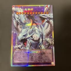 究極竜魔導師 マスターオブドラゴンマギア オーバーフレーム プリシク