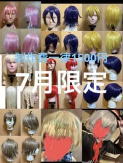納期6月末／7/4使用予定　ウィッグオーダー 7月限定特価】 コスプレ ウィッグオーダー 格安 - メルカリ