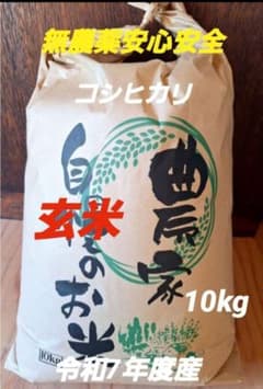 玄米10キロ 無農薬、無化学肥料栽培 はざ掛け 天日干しコシヒカリお得セール 玄米10キロ 無農薬、無化学肥料栽培 はざ掛け 天日干しコシヒカリお得