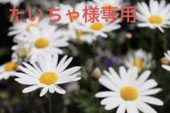 たいちゃ様専用のサムネイル