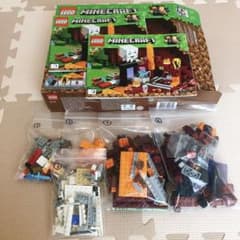 マインクラフト  LEGO 21143のサムネイル