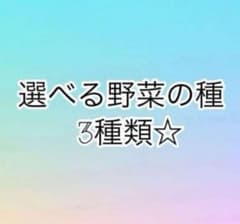 選べる野菜の種　3種