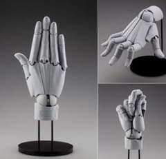 ARTIST SUPPORT ITEM HAND MODEL/R