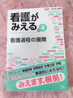 看護がみえる vol.4 看護過程の展開のサムネイル