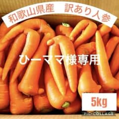 ★ひーママ様専用★訳あり人参　5kgのサムネイル