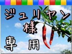 【ジュリヤン 様 専用】出品です。のサムネイル