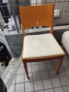 【関東限定】カンディハウス ダイニングチェア メープル材　3脚セット 関東限定】カンディハウス ダイニングチェア メープル材 3脚セット