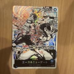 ぶ*よ様 ワンピースカード エース＆ニューゲート リーダーパラレル ぶ*よ様 ワンピースカード エース＆ニューゲート リーダーパラレル