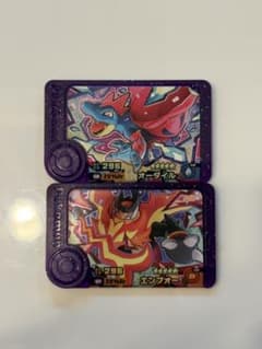ポケモンフレンダ オーダイル エンブオー 2枚セットのサムネイル