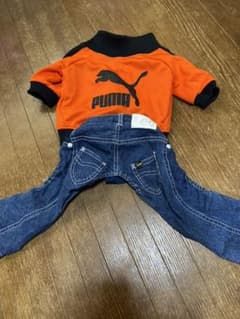 犬服　　プチ様専用のサムネイル